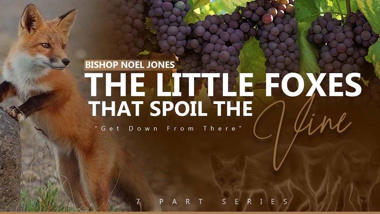 Bishop Noel Jones - Get Down From There - Flash Back Friday