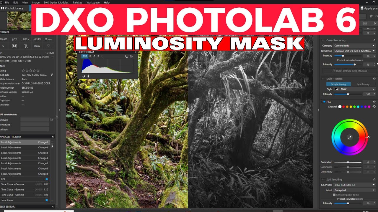 HOW TO USE LUMINOSITY MASK IN DXO PHOTOLAB 6?
