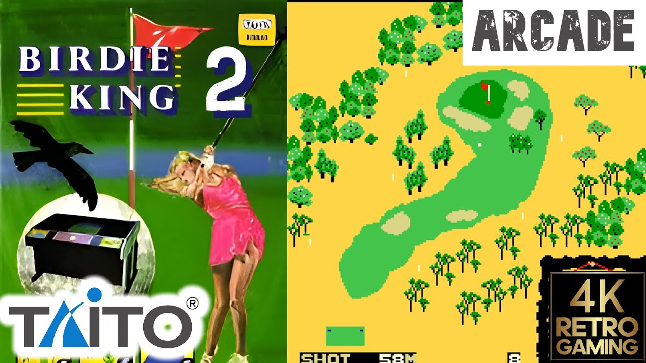 Birdie King 2 Arcade ( Taito 1983 ) 4k Gameplay