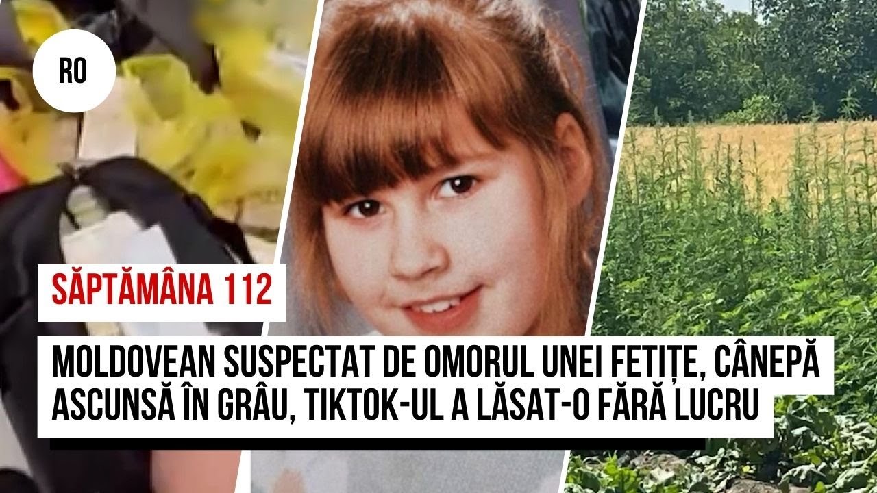 Moldovean suspectat de omorul unei fetițe, cânepă ascunsă în grâu, TikTok-ul a lăsat-o fără lucru