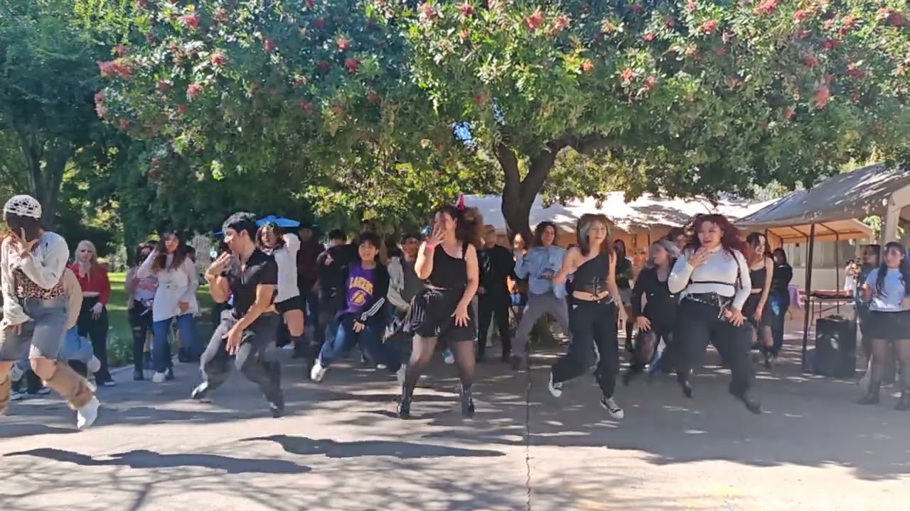 Kpop Random Rush - Kpop Show 2025