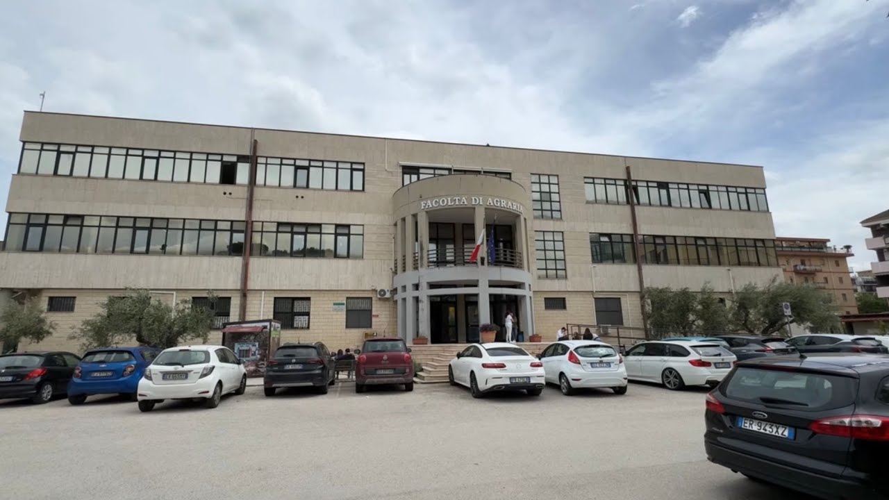 İtalya'da Erasmus Yapmak Nasıl? (Tavsiyeler, Erasmus Nedir?)