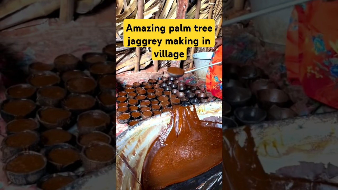 how to make palm tree jaggery in village 🧐👌🙏#shortsfeeds #youtubeshorts #shortsviral