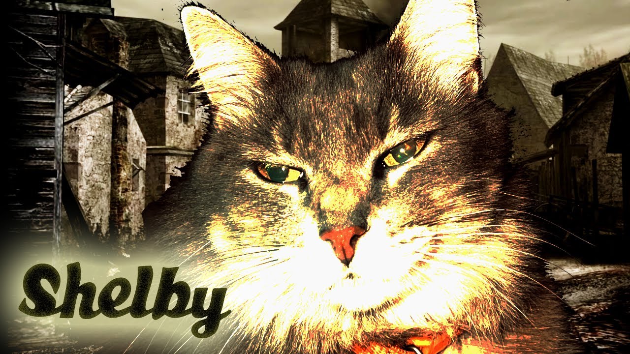 Shelby - Que hago?