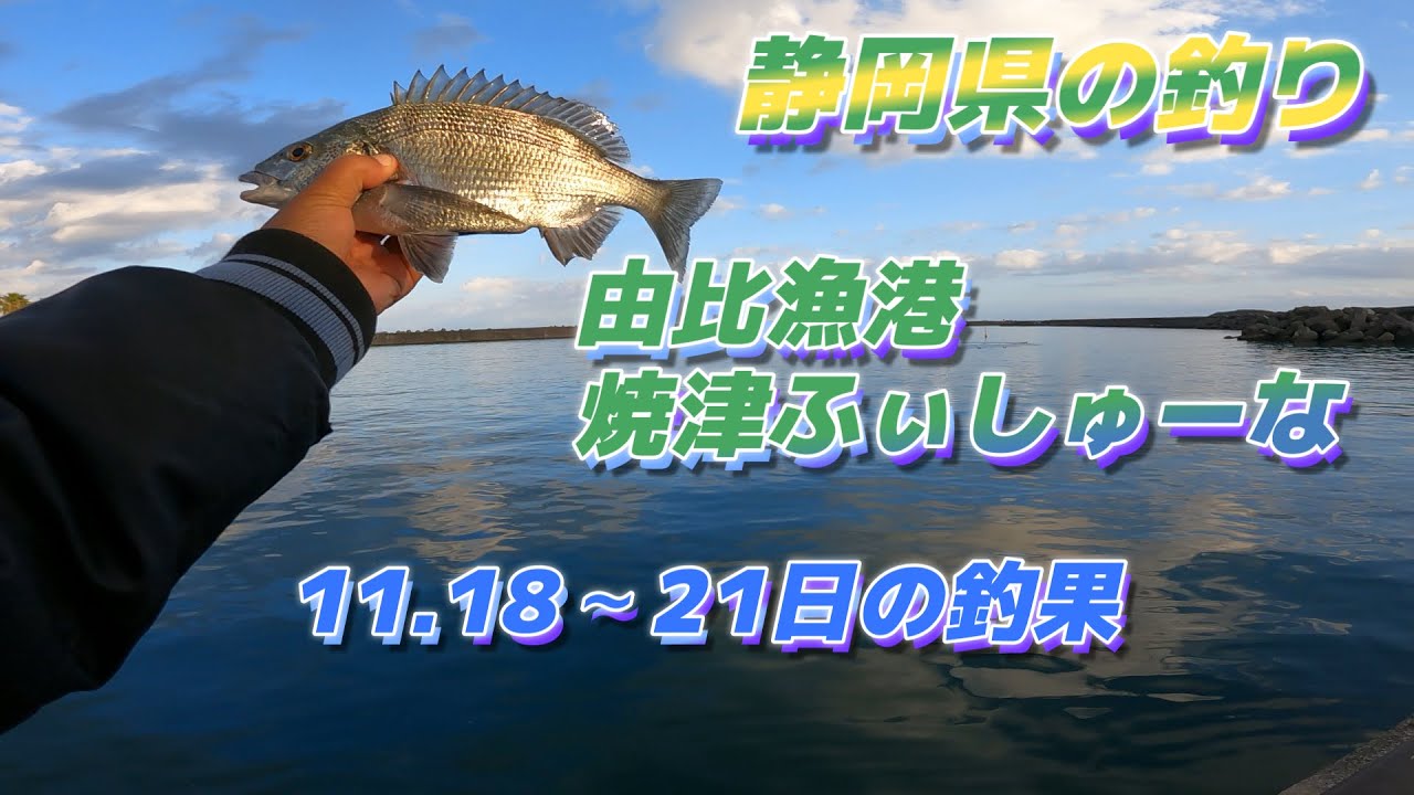 静岡県の釣り「由比漁港・焼津ふぃしゅーなで色んな魚を釣ろう」キャンピングカー車中泊で北海道～沖縄日本全国釣りの旅