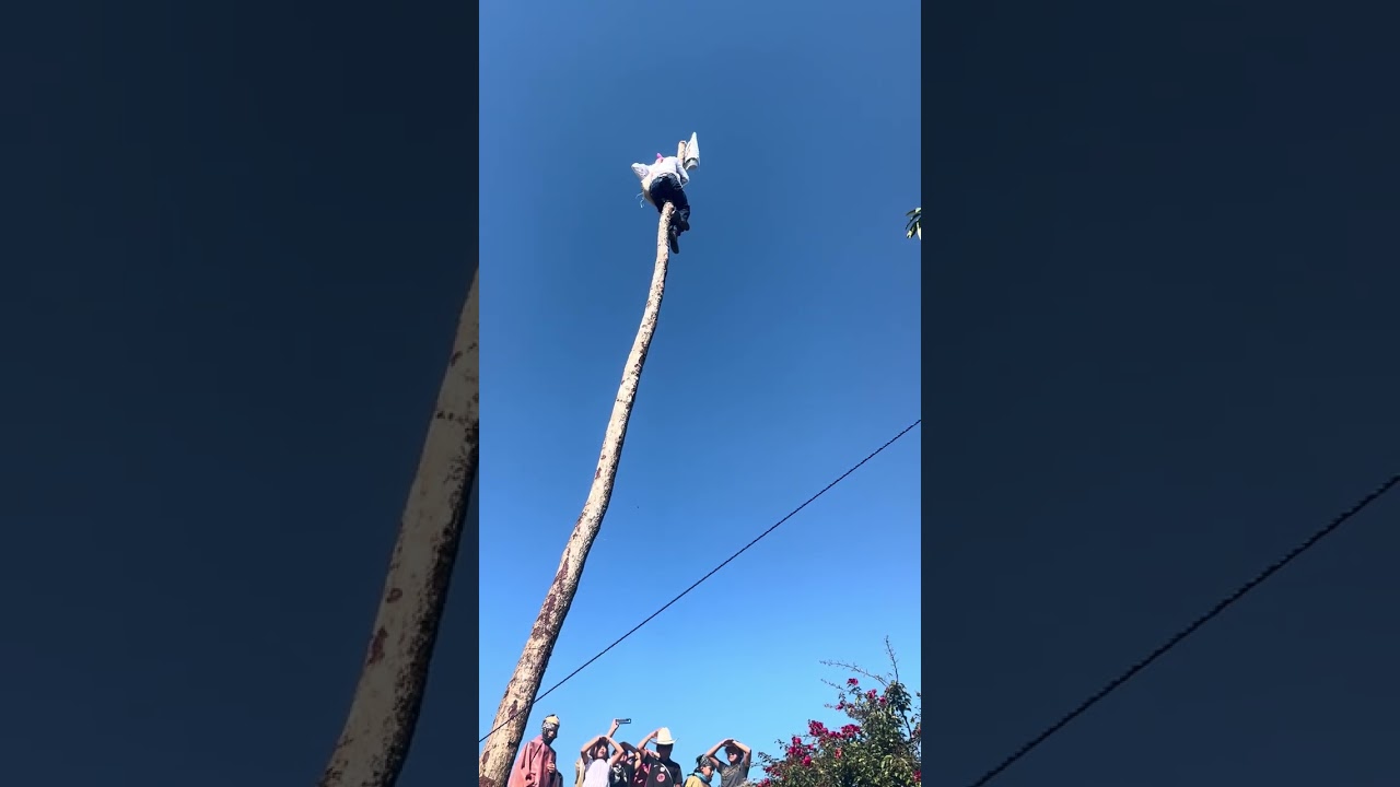 Carnaval la victoria 