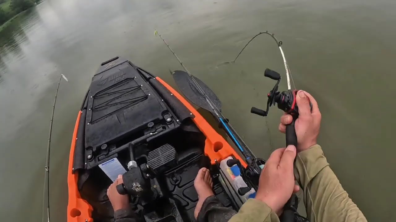 Olha o tamanho desse DOURADO.   #pescaria #dourado #pescaesportiva #peixe 