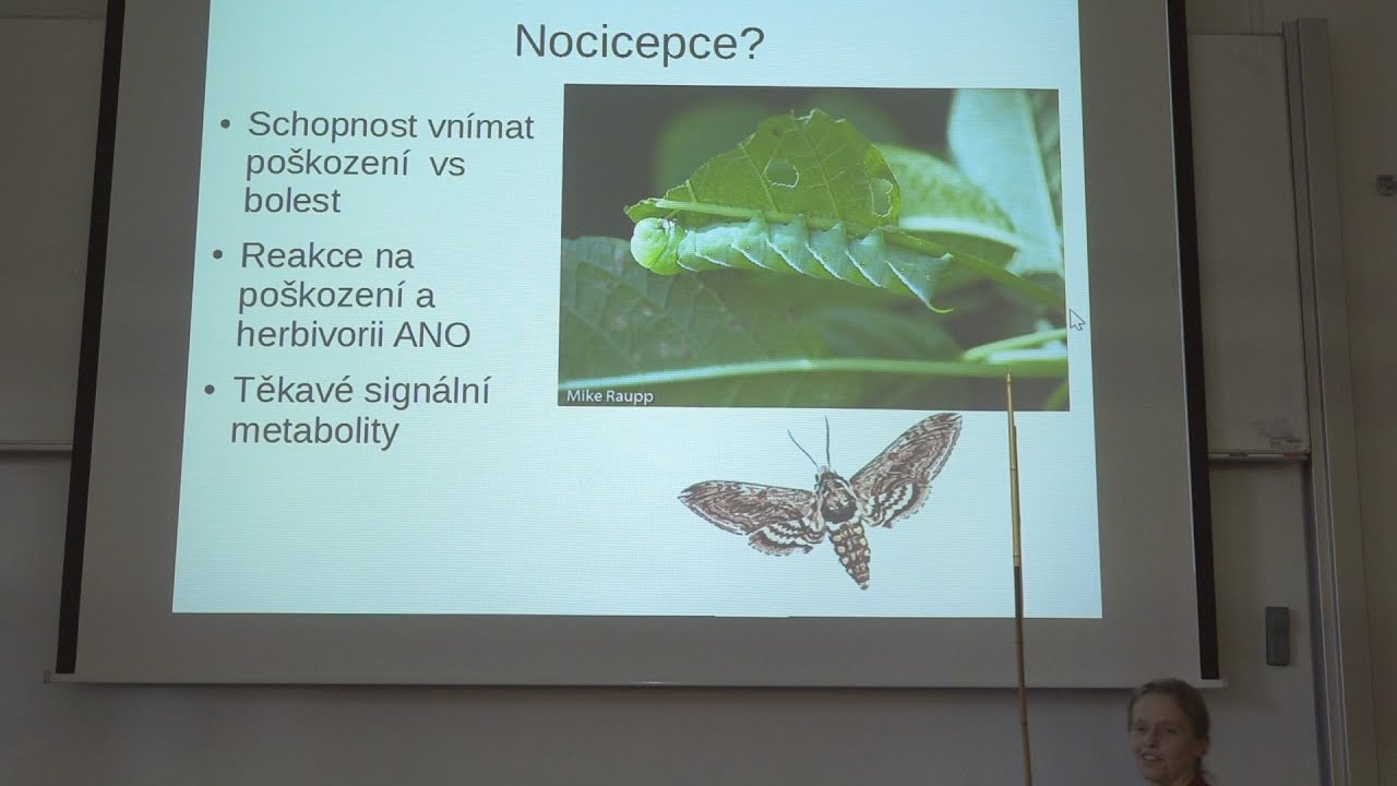 Fatima Cvrčková - Co vědí rostliny o světě (11.10.2019)