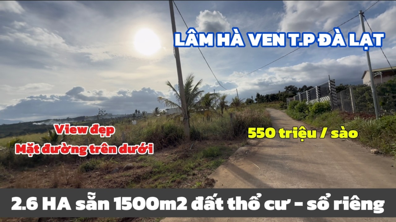 Bán Đất Vườn Lâm Hà Gần Sân Bay Đà Lạt – sẵn nguồn thu | 1500m² Thổ Cư Giá Rẻ