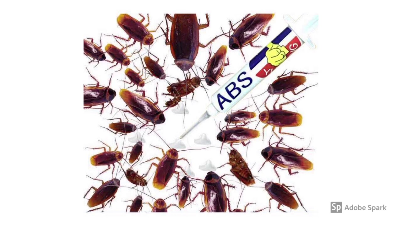 ABS YUHENG cockroach gel bait