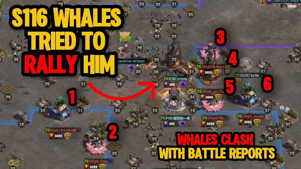 They tried to rally HIM! S116 Whales vs  S85 Whale | Whales Clash & Battle Reports | TWD:SURVIVORS