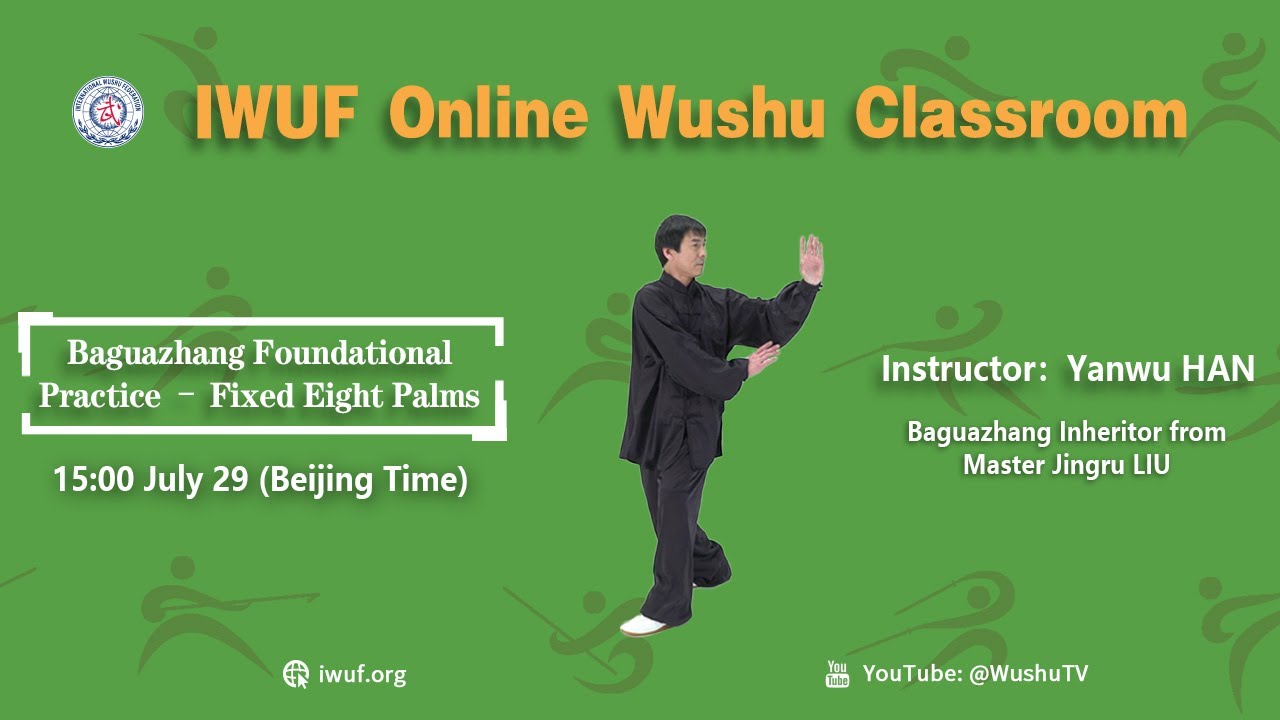 40. Baguazhang Foundational Practice - Fixed Eight Palms