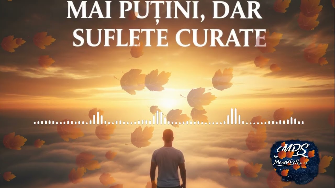 Mai puțini, dar suflete curate! Manele Pe Suflet#manele #manelenoi #maneletop#suno