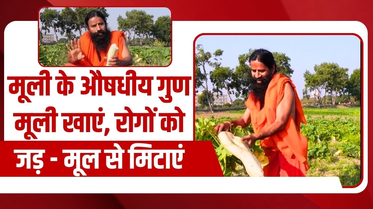 मूली (Radish) के औषधीय गुण, मूली खाएं, रोगों (Disease) को जड़ - मूल से मिटाएं || Swami Ramdev