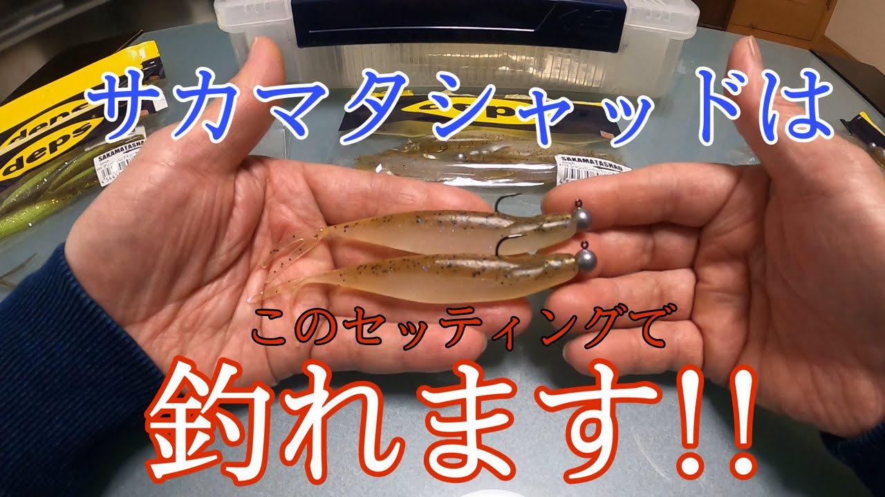 サカマタシャッドはこのセッティングで釣れます！！【お節介野郎が勝手に教えてみました！】シリーズ第①弾