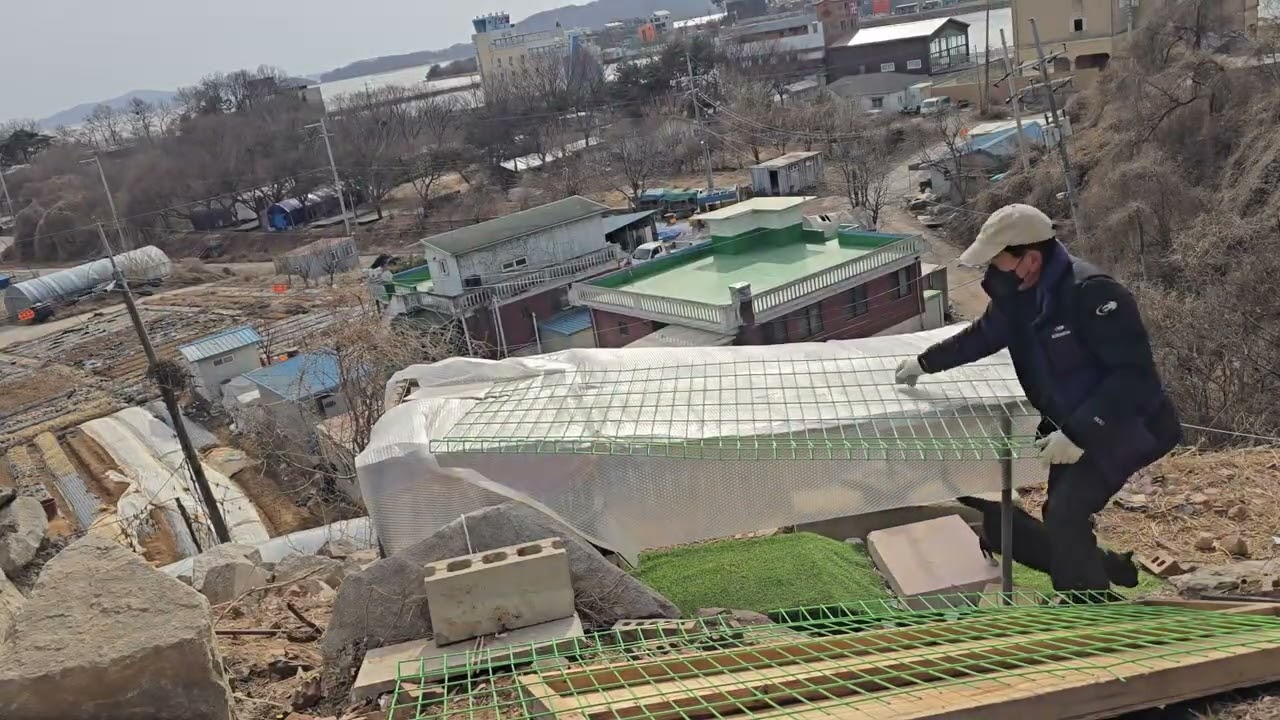 찐빵이 임시거처 철거 