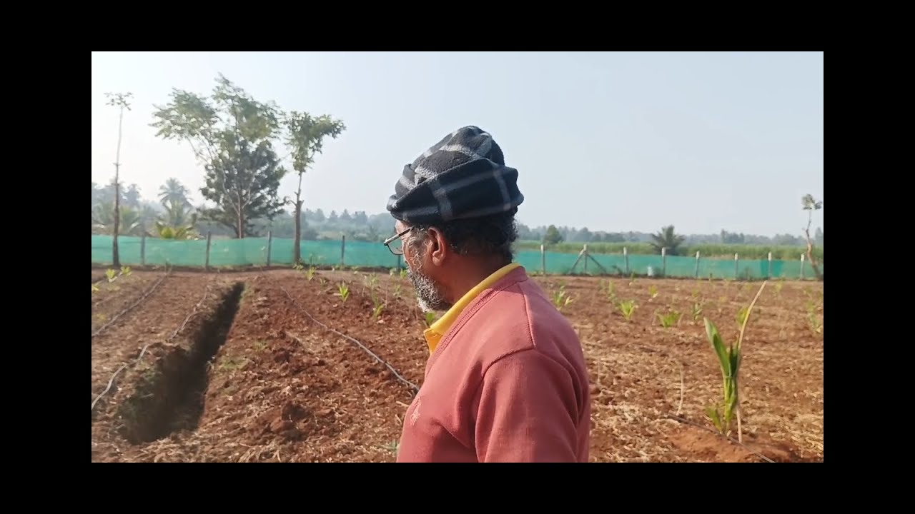 ಕುಪ್ಯ ನೈಸರ್ಗಿಕ ಮಾದರಿ ಕೃಷಿ, ತೆಂಗು, ಅಡಿಕೆ ಮತ್ತು ಹಣ್ಣಿನ ಮಾದರಿ ಕೃಷಿ