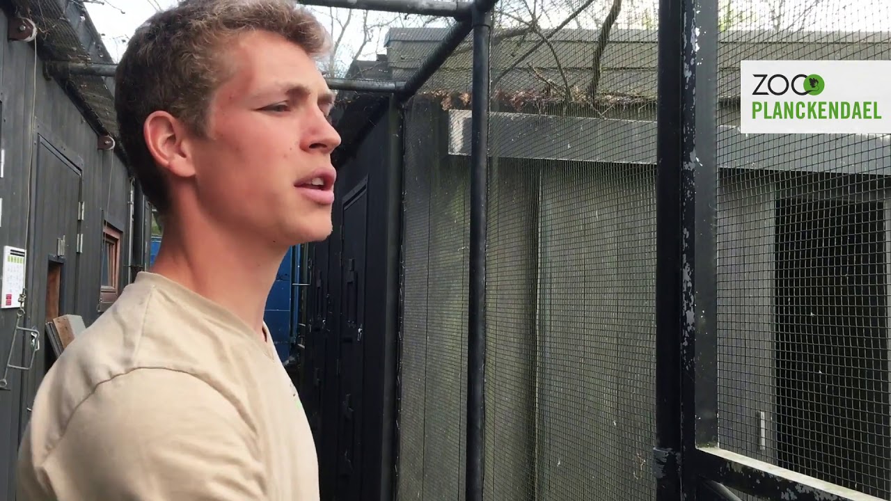 #ZOOsamen