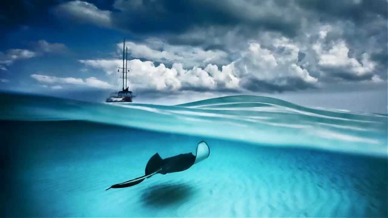 Ocean Waves ~ Natural Sounds