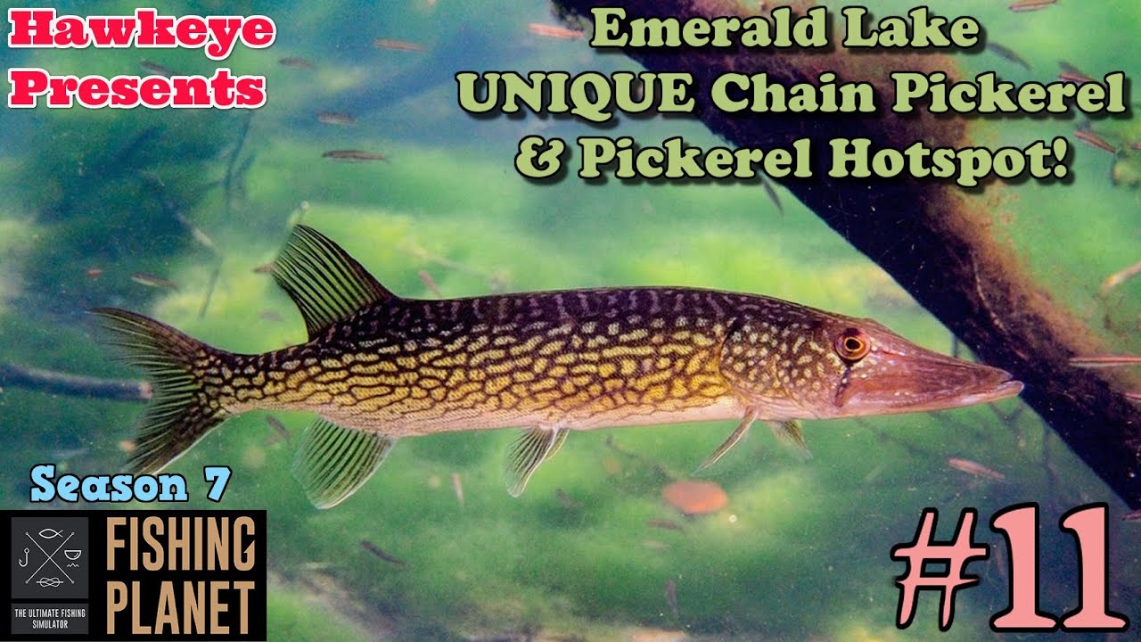Fishing Planet #11 - S7 | Emerald Lake UNIQUE Chain Pickerel & Pickerel Hotspot!