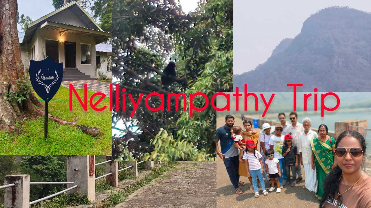 Nelliyampathy Trip//Kailas estate//WOODSVILLE//Palakkad//Nature's symphony// forest stay