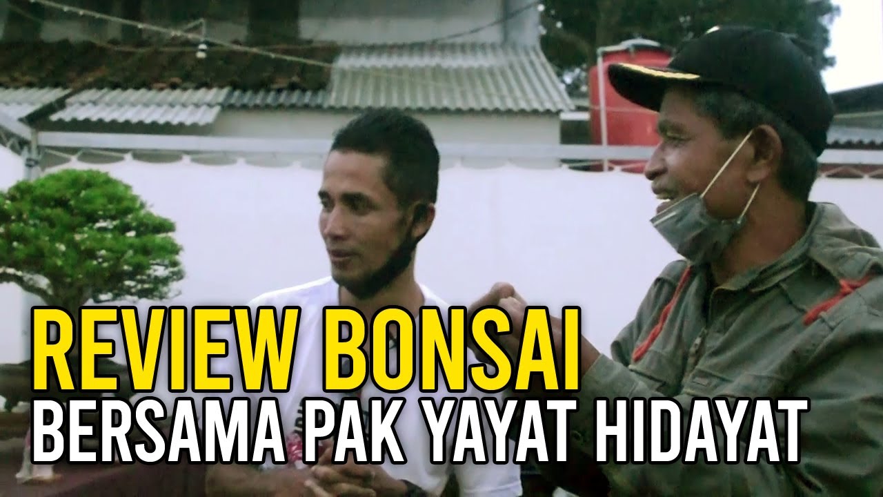Review Bonsai Bersama Pak Yayat Hidayat | Oleh-oleh Kontes dan Pameran Bonsai Cikijing Majalengka
