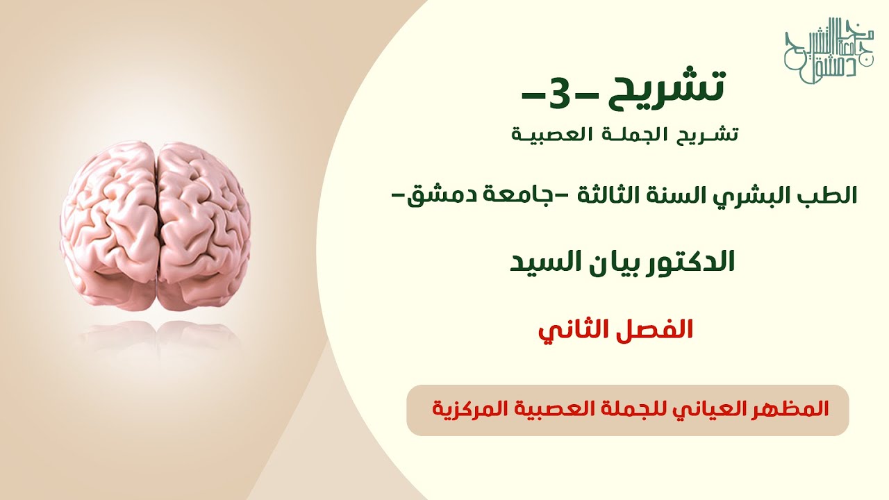 تشريح 3 | المظاهر العيانية للجملة العصبية المركزية (الفصل الثاني) د.بيان السيد