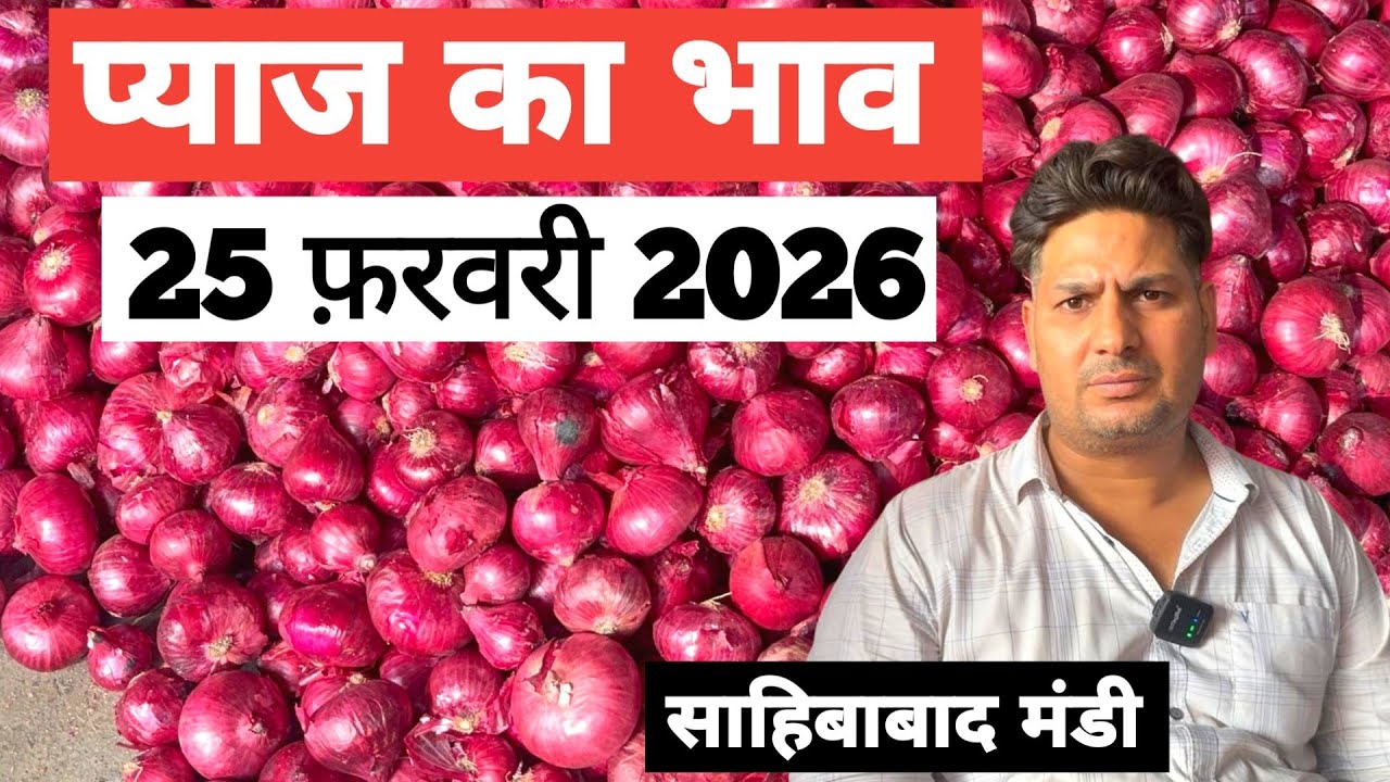 25 February 2026 🧅 प्याज का भाव साहिबाबाद मंडी | today onion rates in sahibabad mandi Delhi NCR 