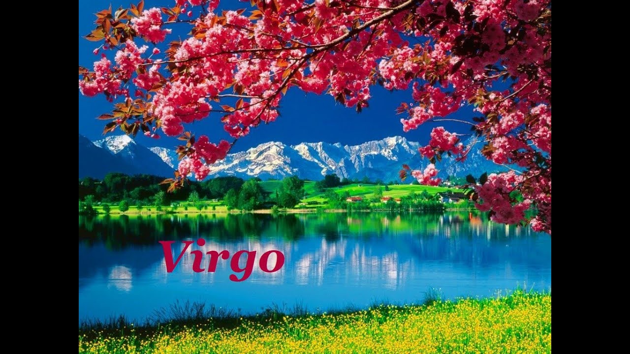 ♍Virgo💰💵❤️📸SnapShot🎬June 15~22 The Divine Giving you Gifts. Equal Reciprocity Abounds