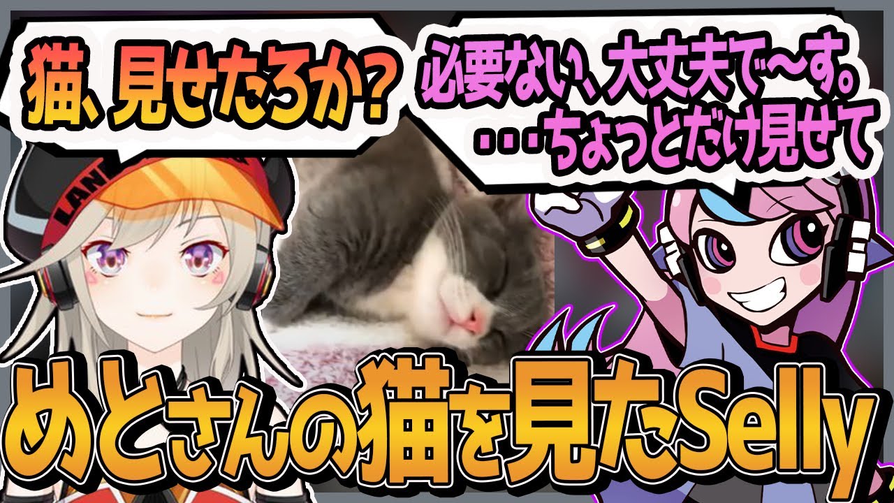 【Selly切り抜き/CRカップカスタム】めとさんの猫に興味ない振りをするSelly【一ノ瀬うるは/英リサ/小森めと/APEX】