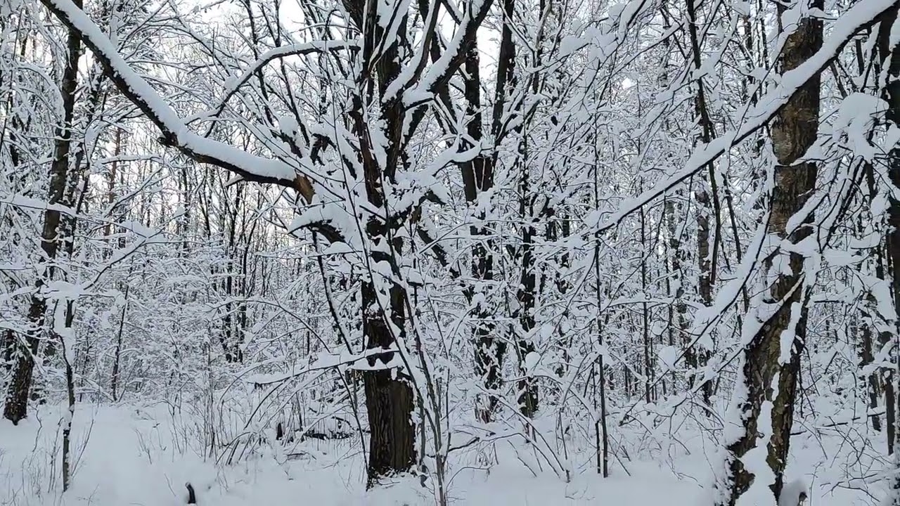 На лыжах 01 января 2026 года ⛷️⛷️⛷️⛷️⛷️