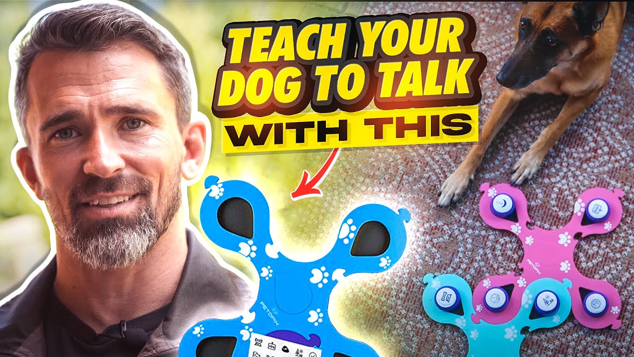 Expert Tips for Teaching Your Dog to Talk with the PETOPIX Button Set