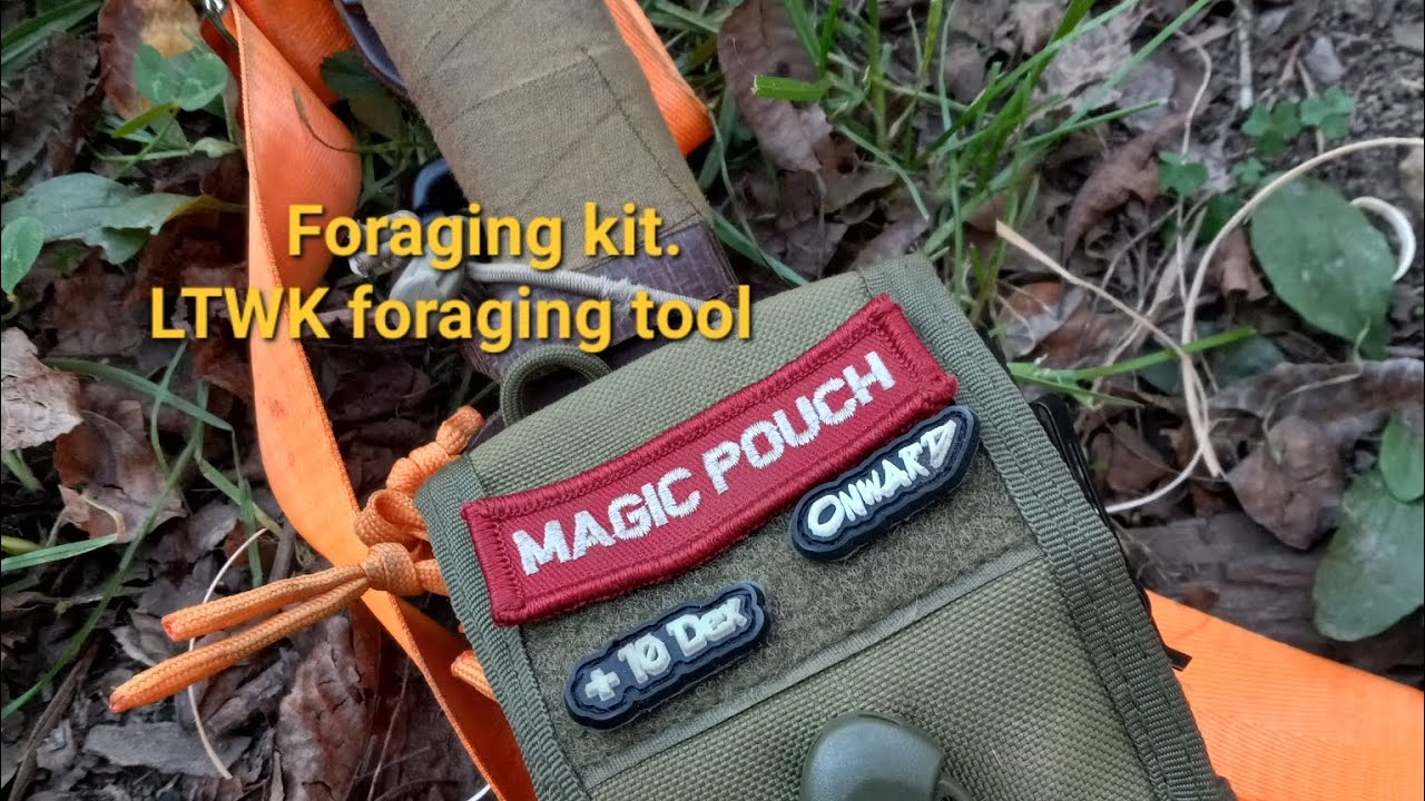 What's in my magic foraging kit ?