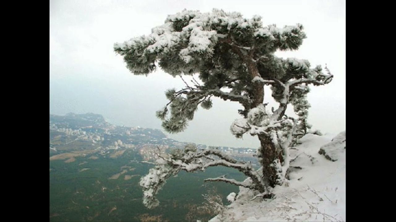 Зима в Крыму