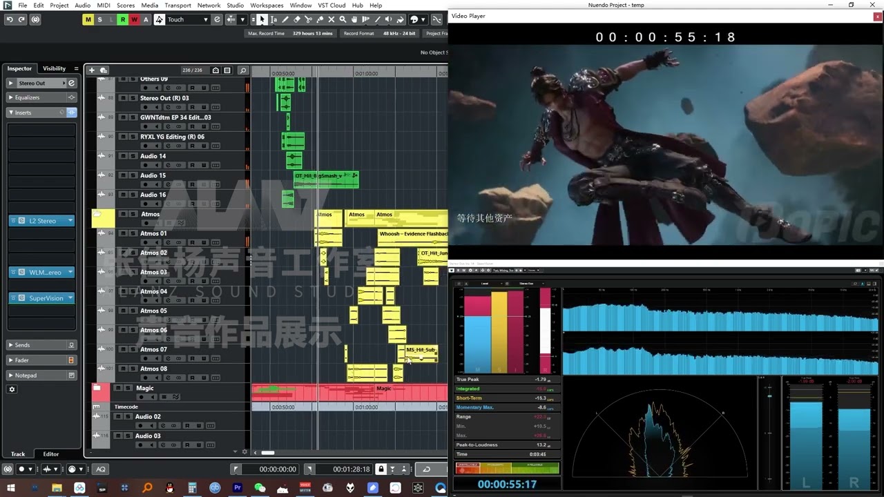 永劫无间&middot;胡为 | 游戏CG | 打斗 武器 动作 | 音效制作片段展示 | 2023