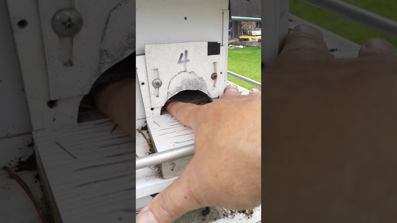 Modifying  purple martin house to keep out starlings.