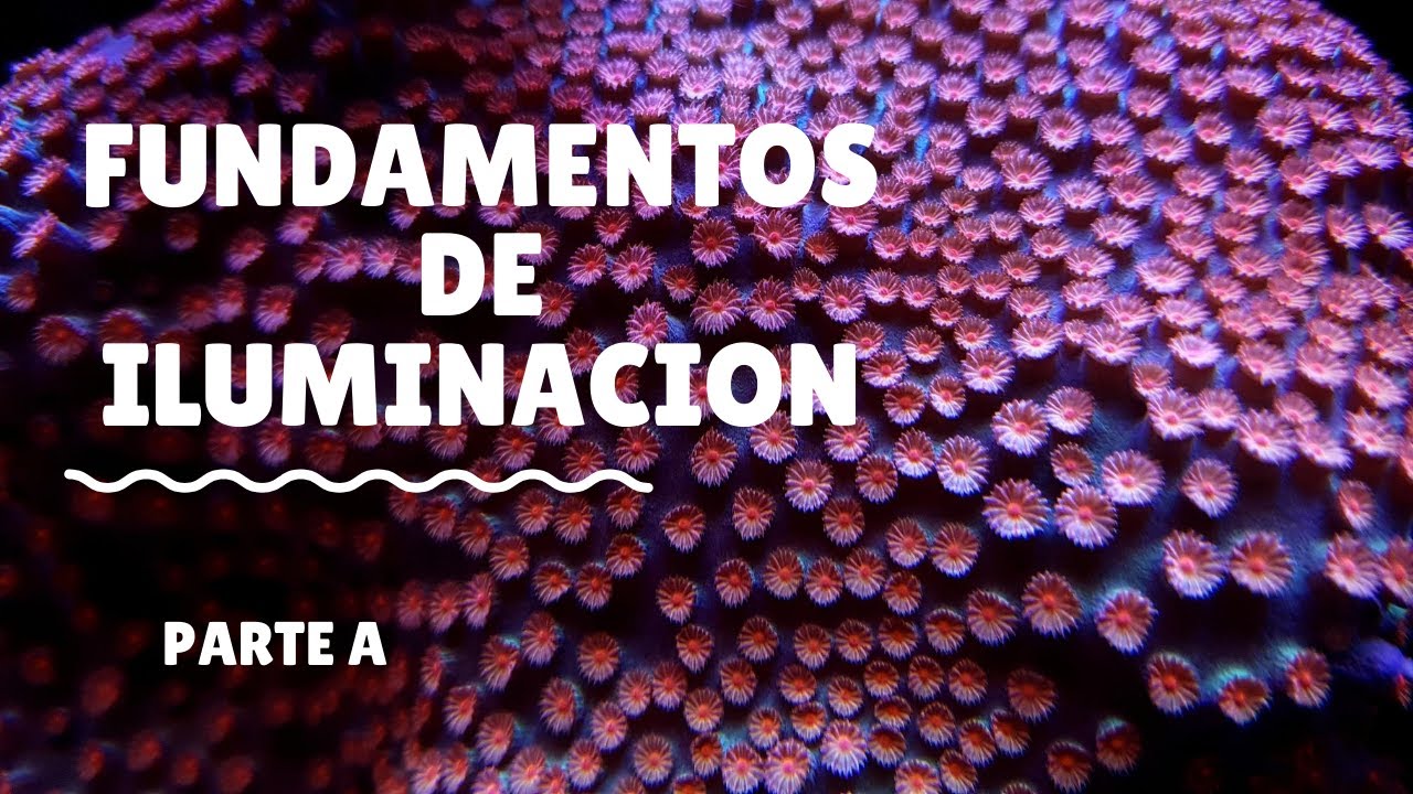 Fundamentos de Iluminación Parte A