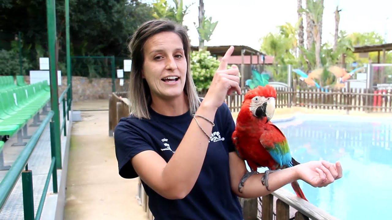 Aves Exóticas en Terra Natura || CAP. 1 🦜