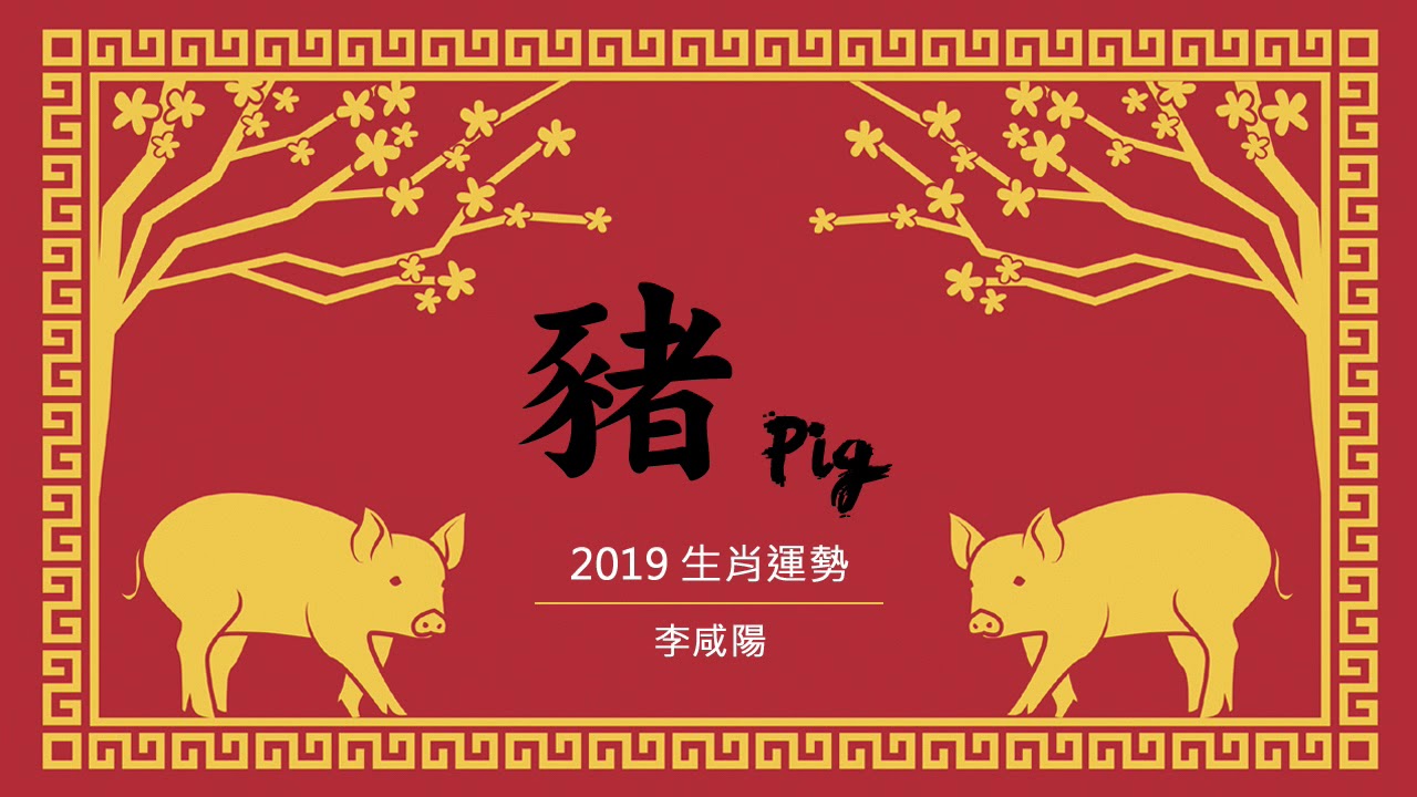 【News98│李咸陽】2019 生肖屬豬運勢