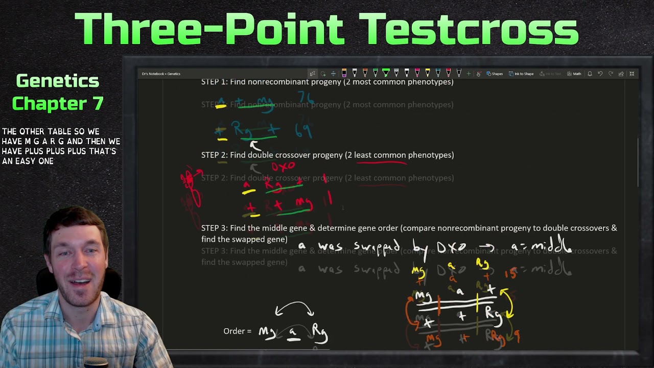 Genetic Mapping: Three-point Testcross and Double Crossover Interference | Genetics Ep. 27