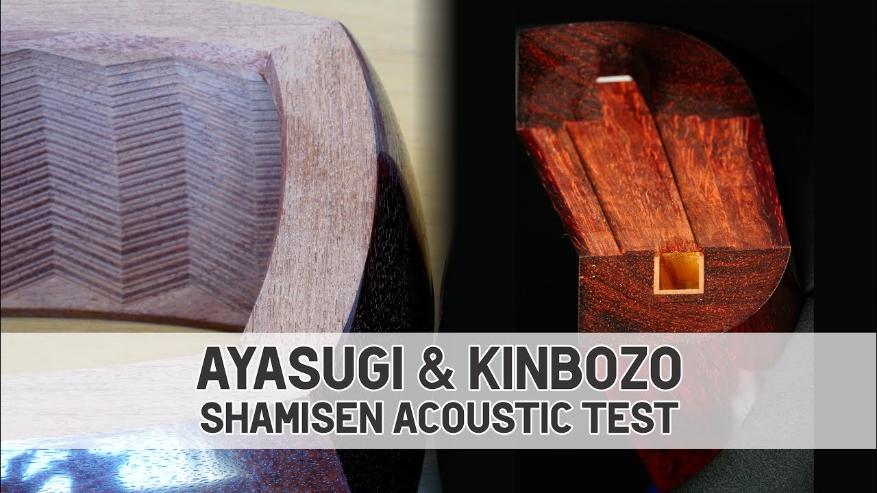 Ultimate Tsugaru Shamisen Mythbusting Sound Test (Ayasugi & Kinbozo)