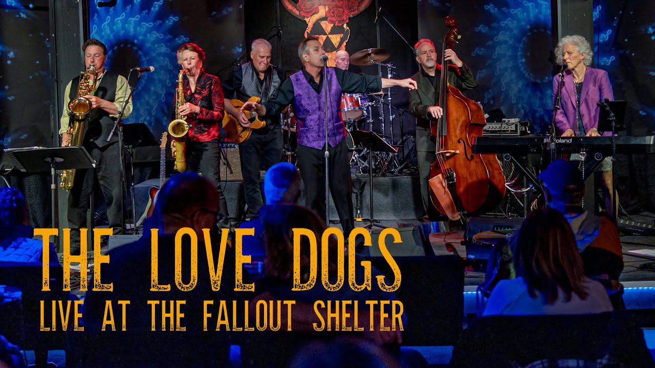 'I Must Have Took The Wrong Road' - The Love Dogs
