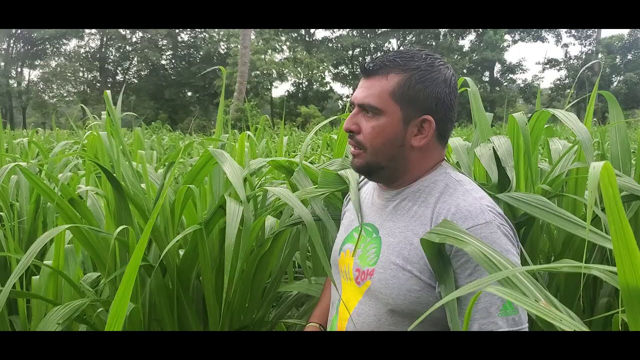 Mira Que Grande Esta La Cuba 22