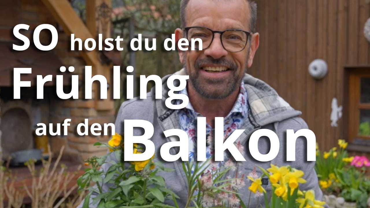 Bunte Blumenschale: SO holst du den FRÜHLING auf den BALKON