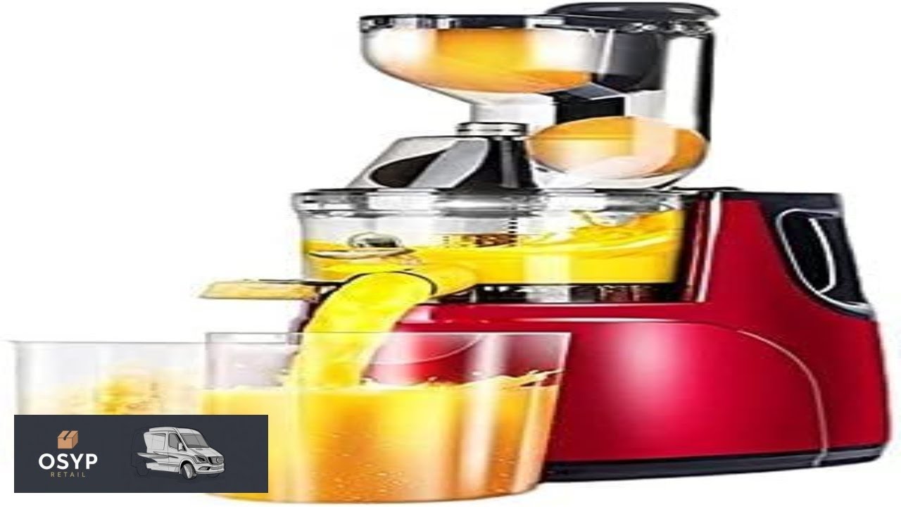 Juicer Machine Juicer Machines Slow Masticating Juicer for Fruits and Vegetables Quiet Motor