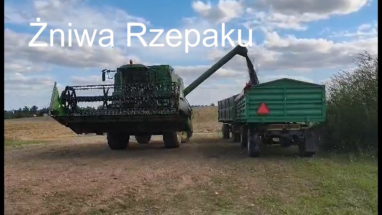Kradzione Żniwa Rzepaku 2025 na nowej Ziemi Lubawskiej🌾🦌John Deere 1450 CWS🦌🔥Zetor Forterra 135HD🔥