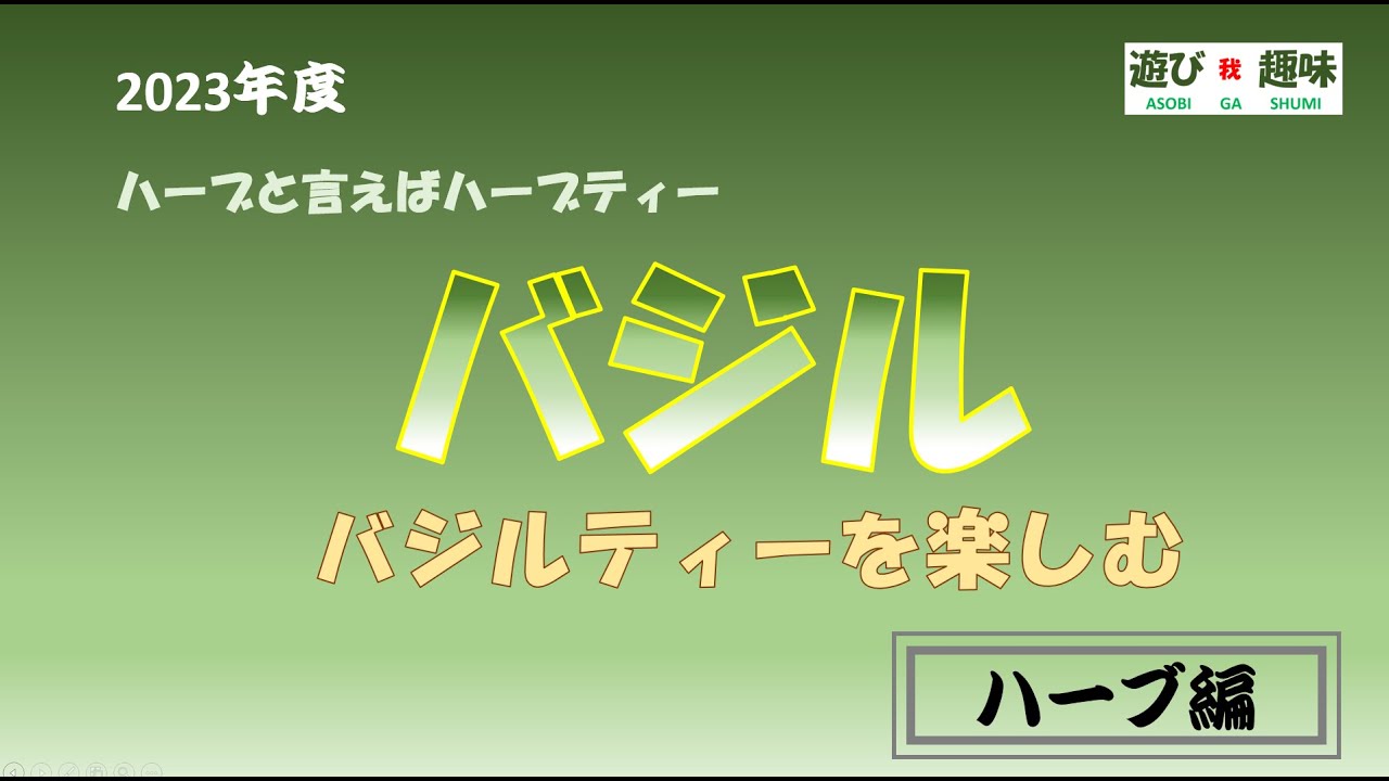 ハーブ編「 バジルティーを楽しむ」です。バシルはハーブティーにも料理にも最適。自分で育てたバジルでお茶が楽しめたら良いですよね。　遊び 我 趣味