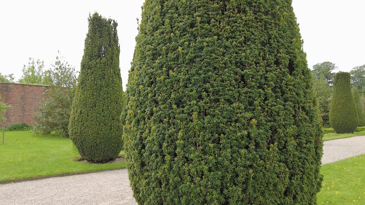Erddig Hall Gardens