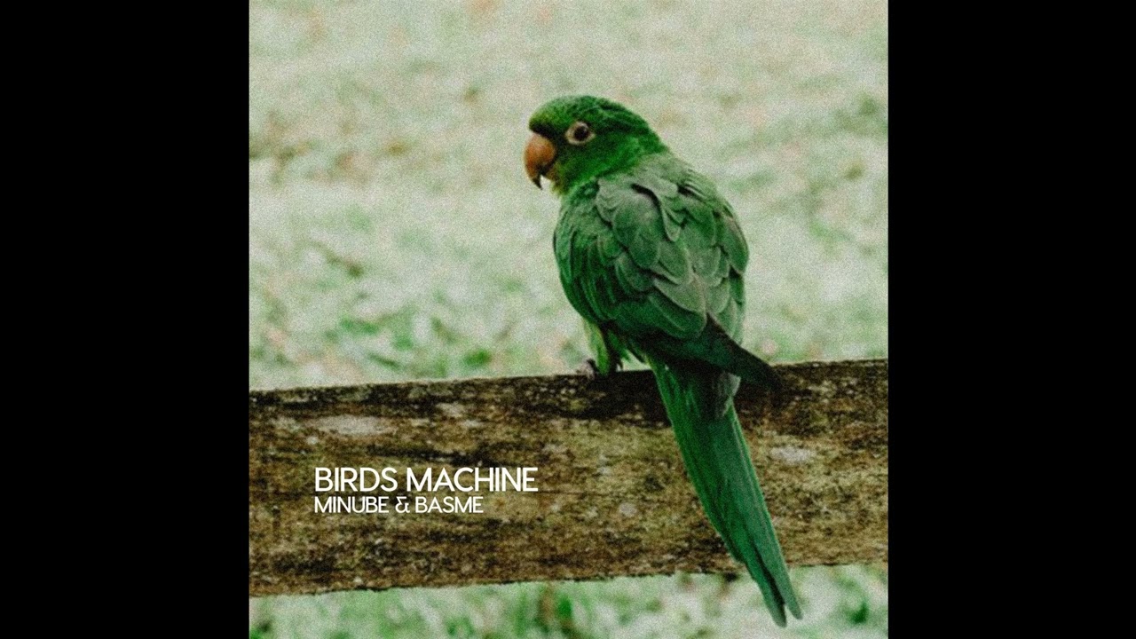 Minube, Basme - Birds Machine