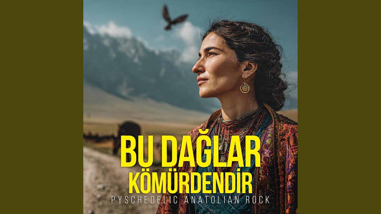 Bu Dağlar Kömürdendir